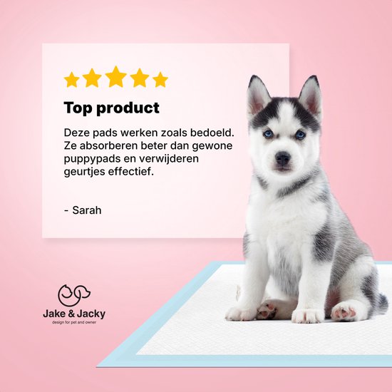 Jake and Jacky : tapis d'apprentissage de la propreté pour chiots avec bande adhésive, 360 pièces - Apprentissage de la propreté pour chiens - Tapis absorbants pour chiens - Toilettes pour chiens - Linges absorbants - Linges pour chiots - Tapis pour chiot