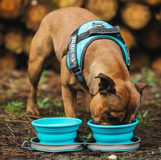 Colapz 2 x gamelles pliables pour chiens - Gamelles pliables pour chiens - Gamelle à eau pour chiens - Gamelle pliable avec sac de transport - Gris - Camping avec son chien
