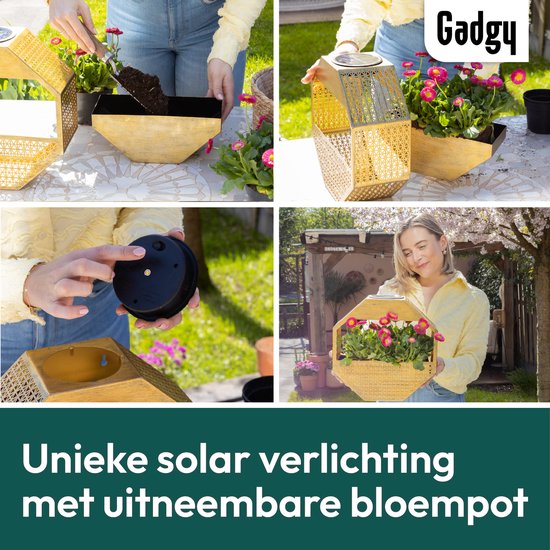 Gadgy Solar - Applique murale Gadgy Solar avec jardinière – Éclairage de jardin à énergie solaire – Lampe d'extérieur à LED – 30 x 30 cm – Jardinière noire