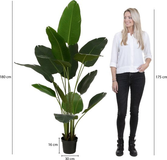 Bananier Artificiel en Pot - Mica Decorations - H180 x Ø30 cm - Vert