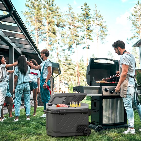 Auronic Electric Cool Box - avec compresseur - congélation et réfrigération - capacité 58L - gris - 69,2 x 45,3 x 58 cm