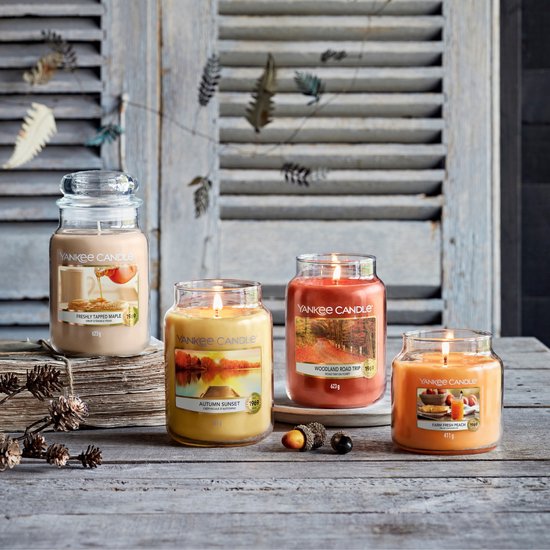 Yankee Candle Pêche fraîche de la ferme pot moyen