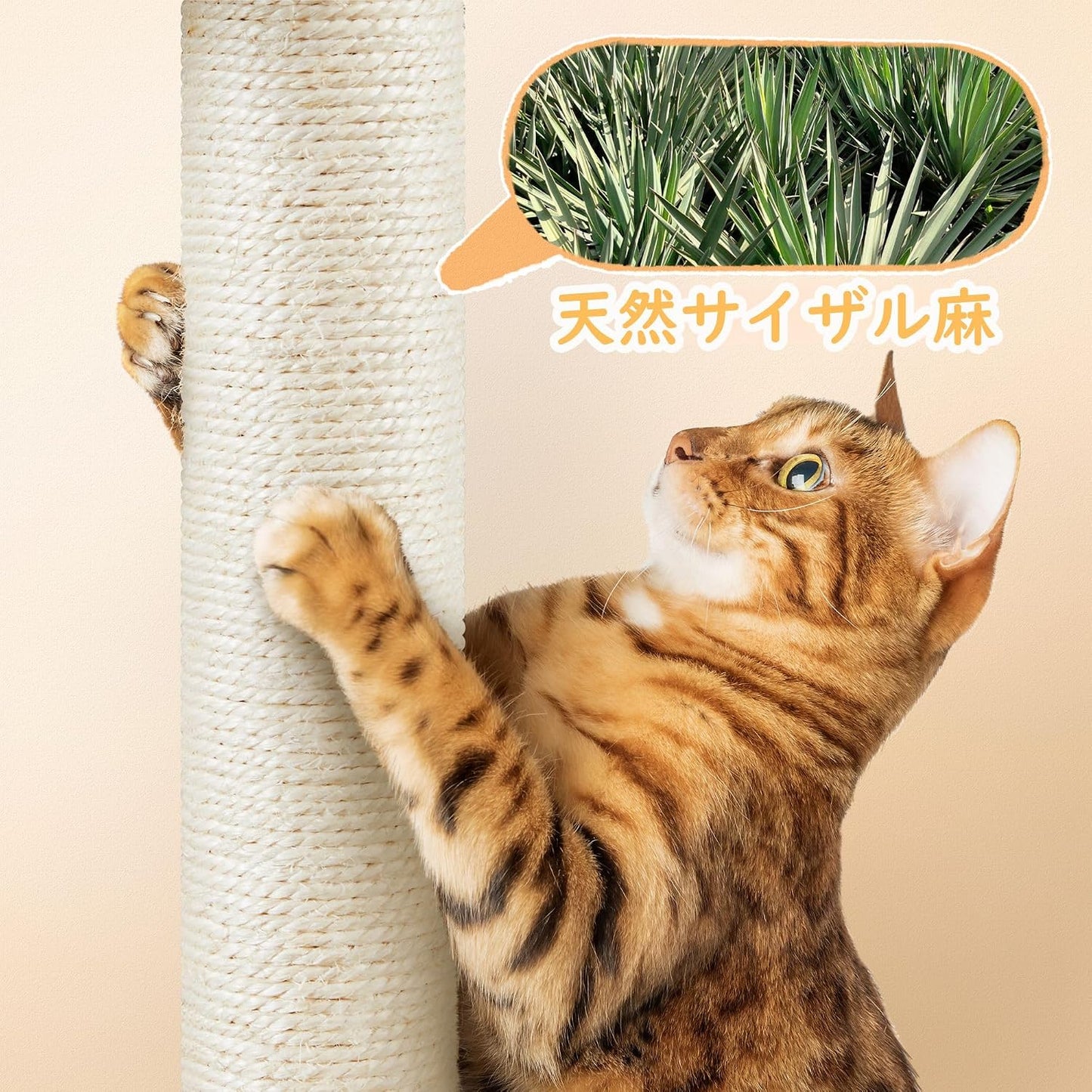 Yaheetech Arbre à chat - 87 cm - Hamac - Maison pour chat - Naturel