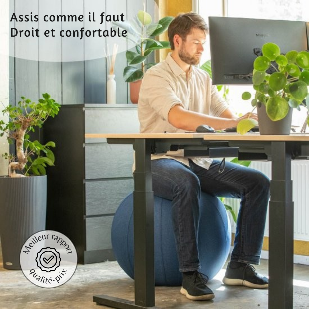 Balle d'assise Backerz® - 75cm - Housse en lin - jusqu’à 110 kg - Gris clair