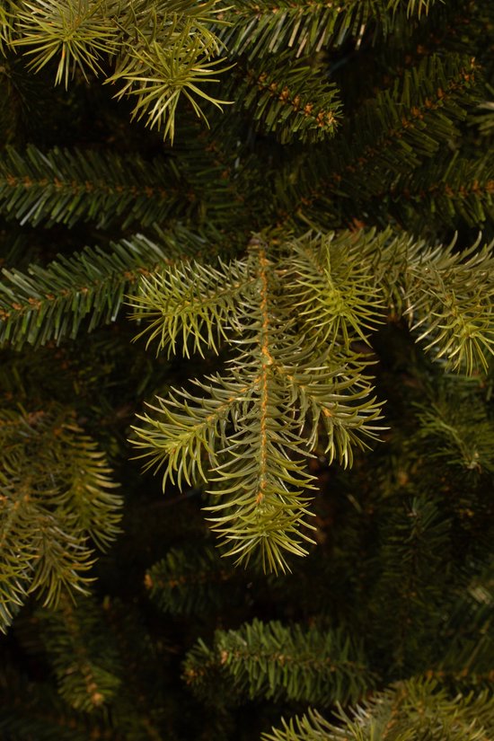 Black Box Trees Clive Artificial Christmas Tree - H230 x Ø147 cm - Vert