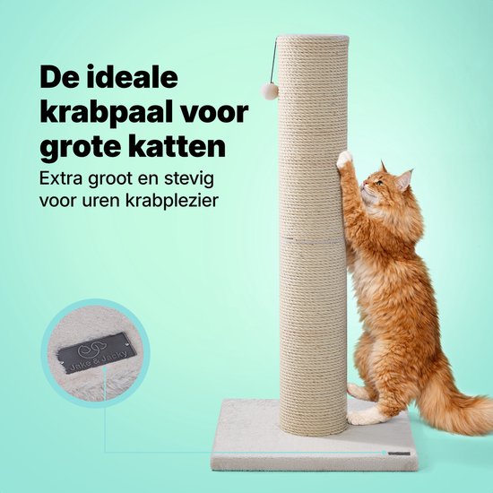 Jake and Jacky : Arbre à chat pour grands chats - Naturel/Crème - Avec petite balle - 56 x 56 x 120 cm - Ø de l'arbre à chat en sisal : 20 cm
