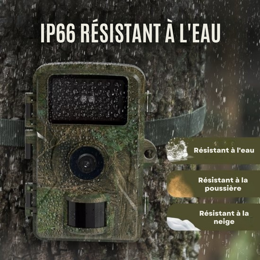 Wildlife Camera - Strex - Caméra de faune - Vision nocturne - 16MP 1080P Full HD - Waterproof - Caméra de chasse - Caméra pour animaux sauvages