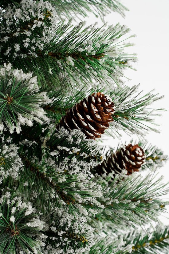 Black Box Trees Vandans Artificial Christmas Tree in Pot - H90 x Ø48 cm - Green Frosted