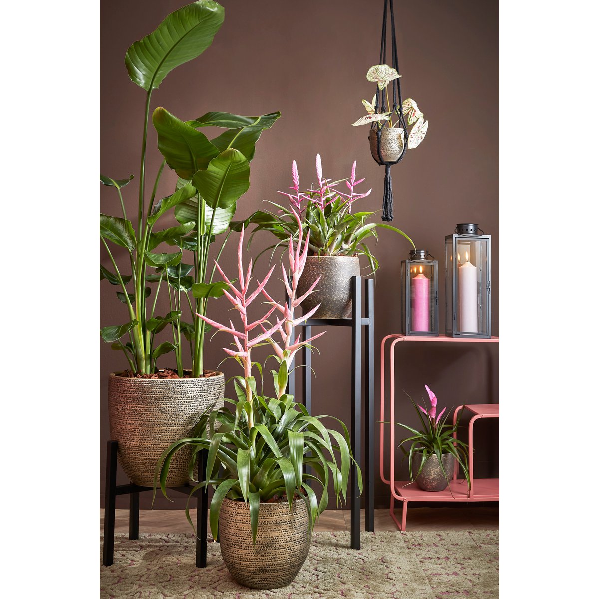 Mica Décorations Lanterne Arzilla Noir - L14 x L13 x H35 cm