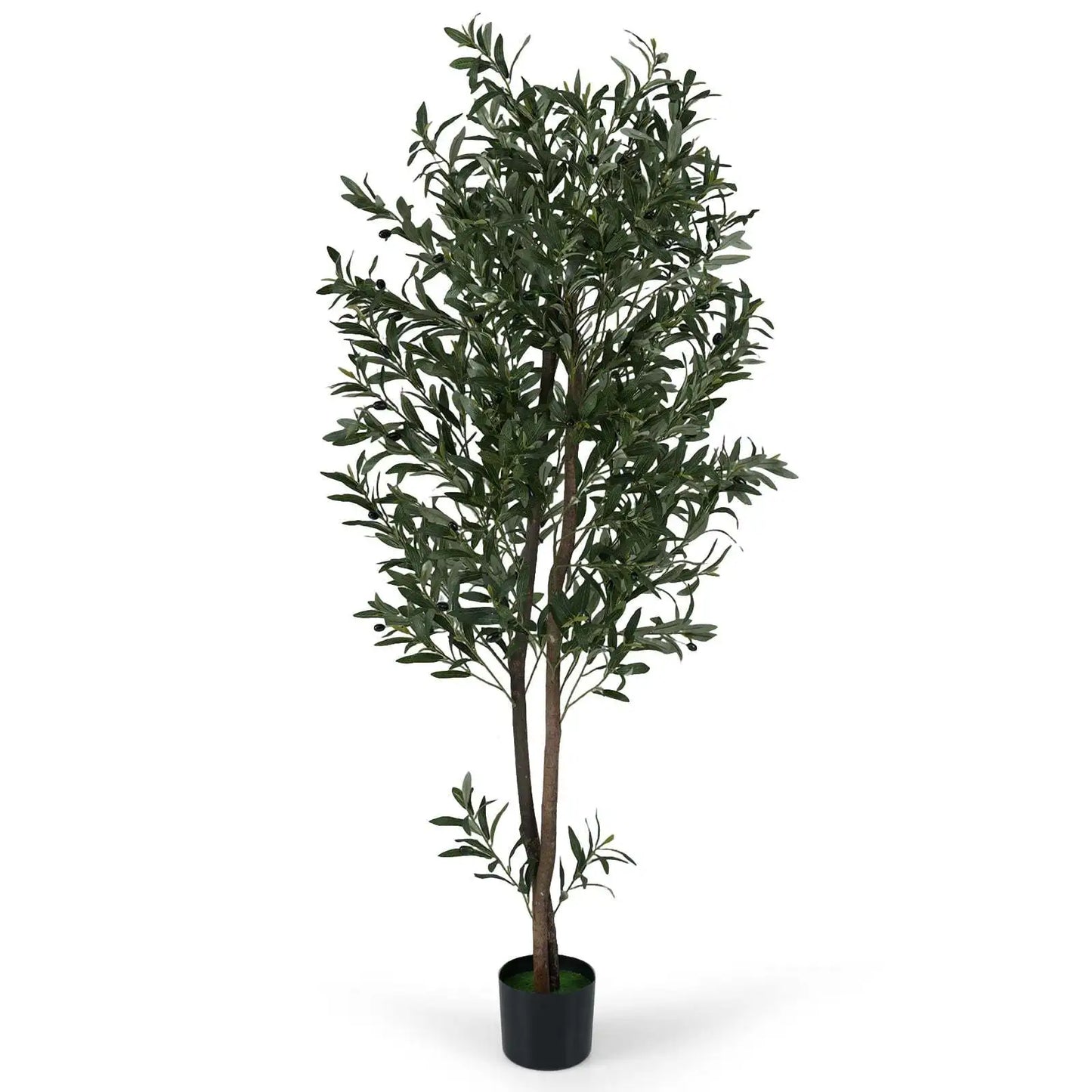 Coast – Olivier artificiel – Doté d'un pot renforcé de ciment, de branches flexibles et d'olives réalistes – Pour le salon et le bureau – Polyester vert et noir – Hauteur : 180 cm