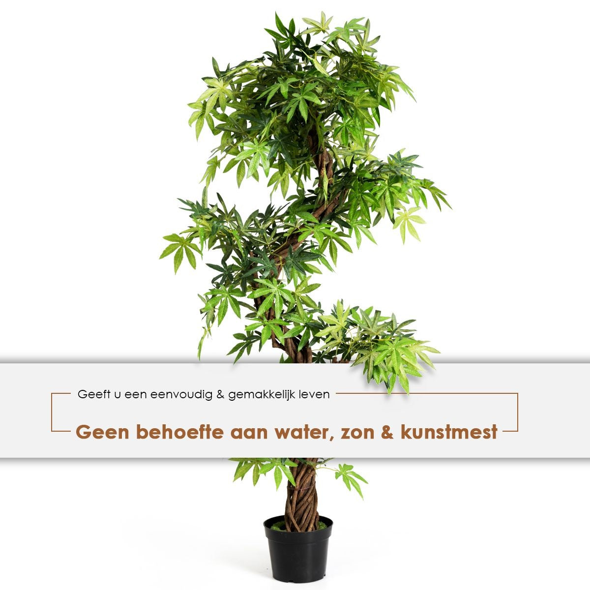Coast Art Bonsai - PVC - 160 cm - Pour l'intérieur et l'extérieur