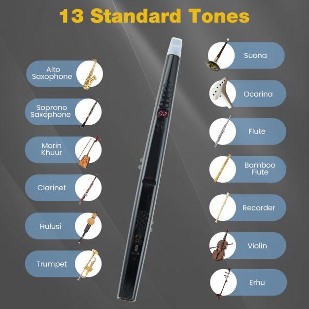 Coast Electronic Wind Instrument Black 44.5 cm - Instrument MIDI portable avec 13 sons et 3 octaves
