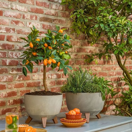 Jardinière sur pieds Doppio de Mica Decorations - 18,5 x Ø29 cm - Jardinières d'extérieur - Jardinières de balcon - Plastique recyclé - Gris