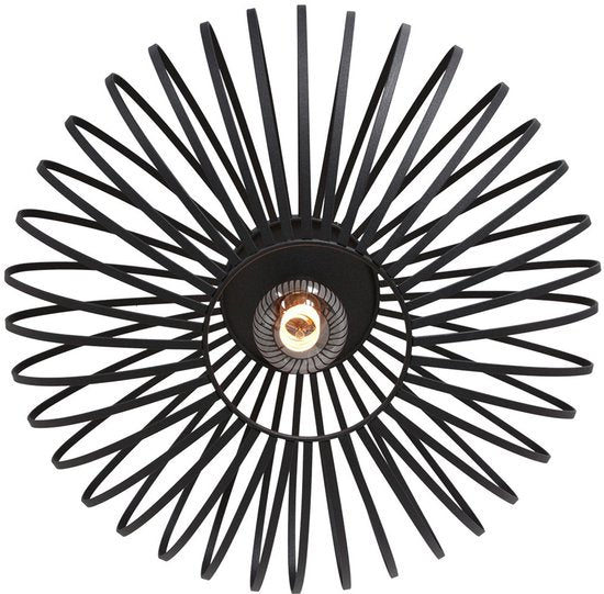 Plafonnier Steinhauer Dunbar AN à 1 lumière, 40 cm