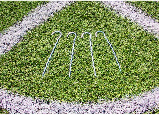 But de football Buffalo Champ Cup (185x125x70cm)