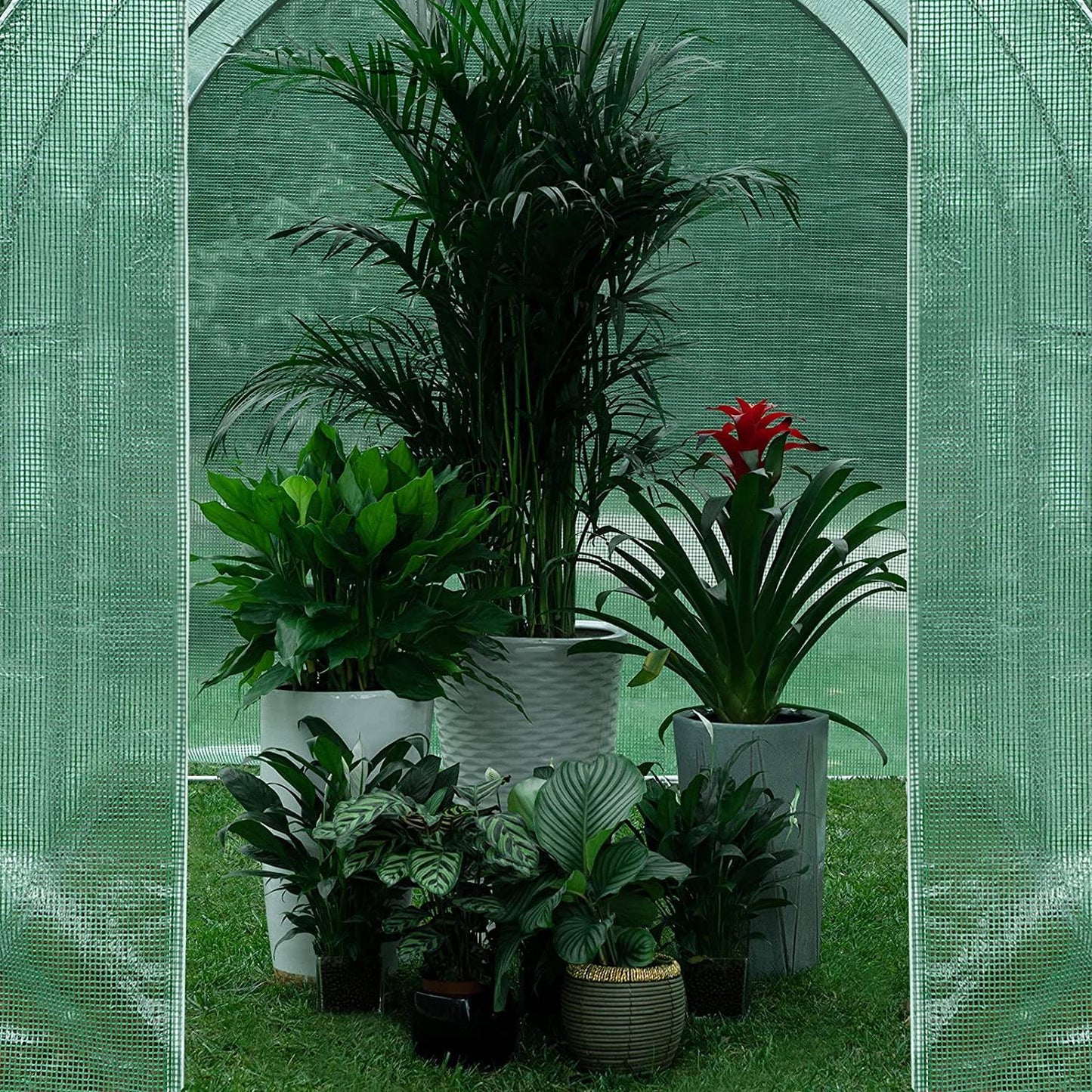 Serre en film plastique WOLTU Verte - 300 x 200 x 200 cm - 6 m² - Avec 6 fenêtres