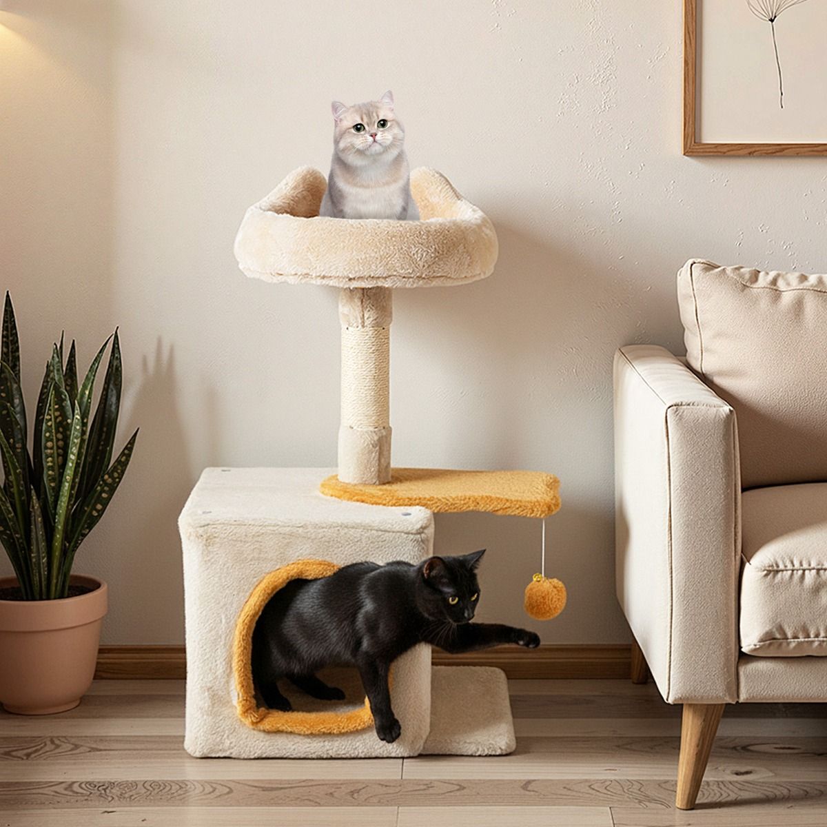 Coast Tour pour chat d'intérieur - Charmant arbre à chat avec siège en peluche - 40 x 30 x 61 cm
