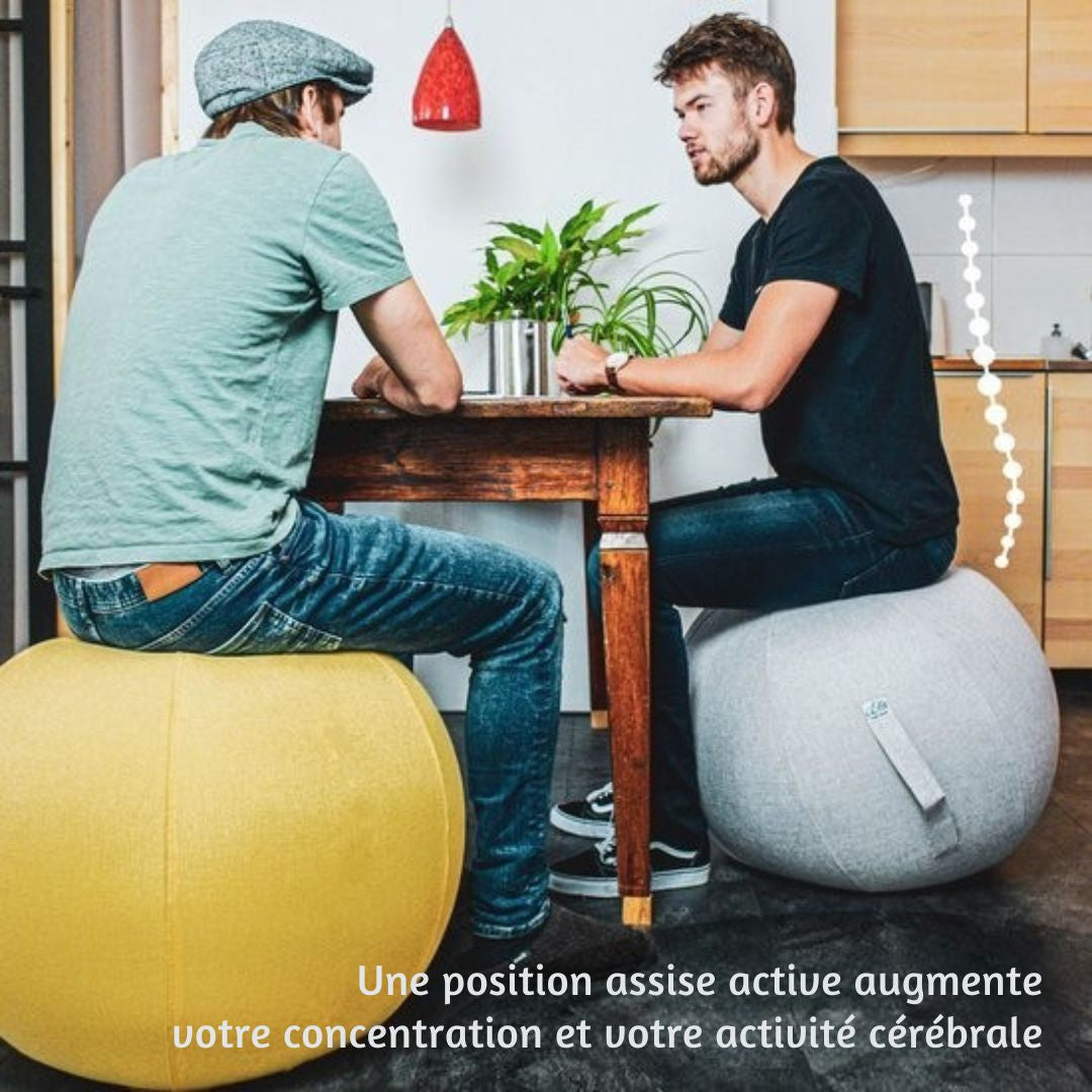 Balle d'assise Backerz® - Housse en lin - Chaise ergonomique de bureau - Noir