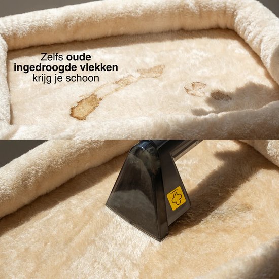 Achaté Nettoyeur de taches PRO - Nettoyeur de tapis à vapeur et eau chaude - Nettoyeur à vapeur - Nettoyeur de canapé - Nettoyeur de siège - Nettoyeur de meuble - Nettoyeur de matelas - Nettoyeur de siège de voiture - Nettoyeur de textile - Machine de net
