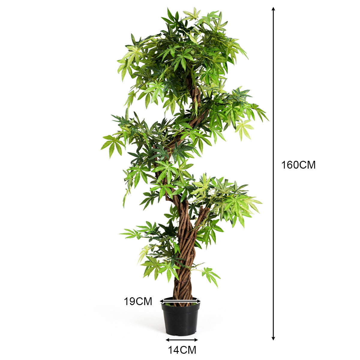 Coast Art Bonsai - PVC - 160 cm - Pour l'intérieur et l'extérieur