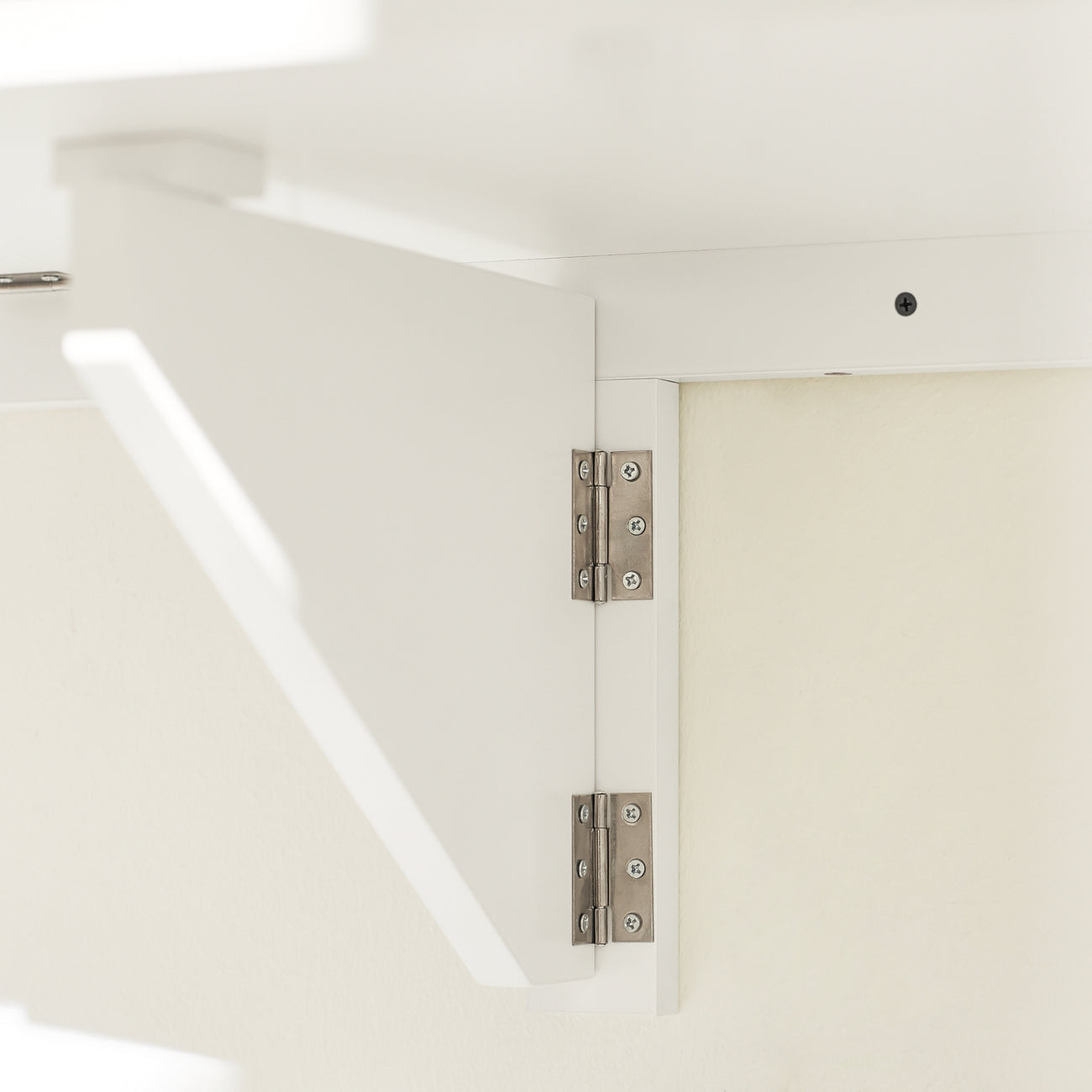 SoBuy FWT03-PF Table de salle à manger pliante - Max. 20 kg - 60 x 40 x 2 cm - Blanc