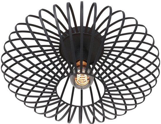 Plafonnier Steinhauer Dunbar AN à 1 lumière, 40 cm