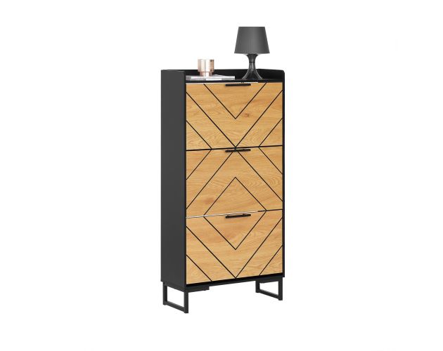 Meuble à chaussures - Sobuy - Noir - 62x24x125 cm
