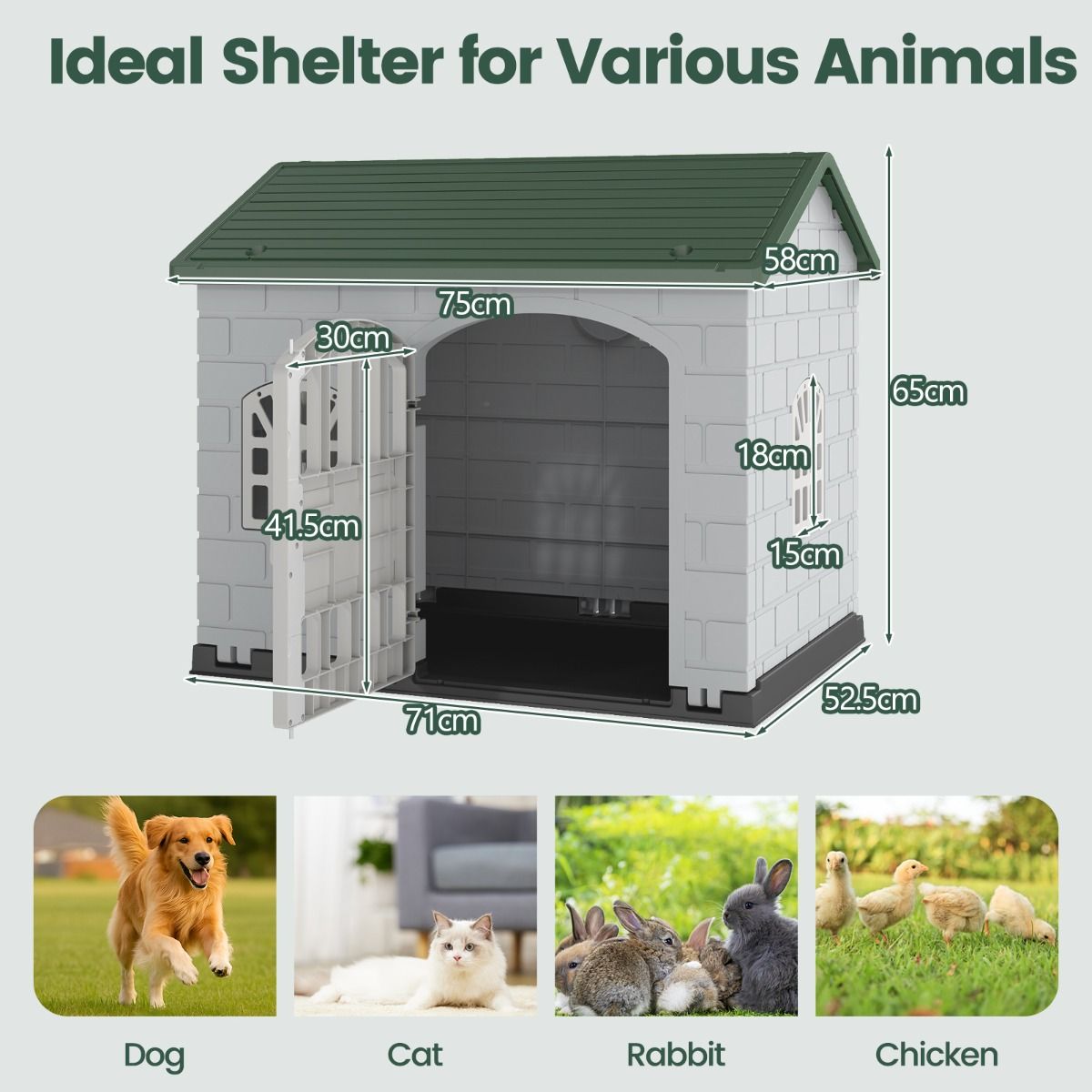 Niche pour chien Coast en plastique - résistante aux intempéries - porte verrouillable et 3 fenêtres - verte