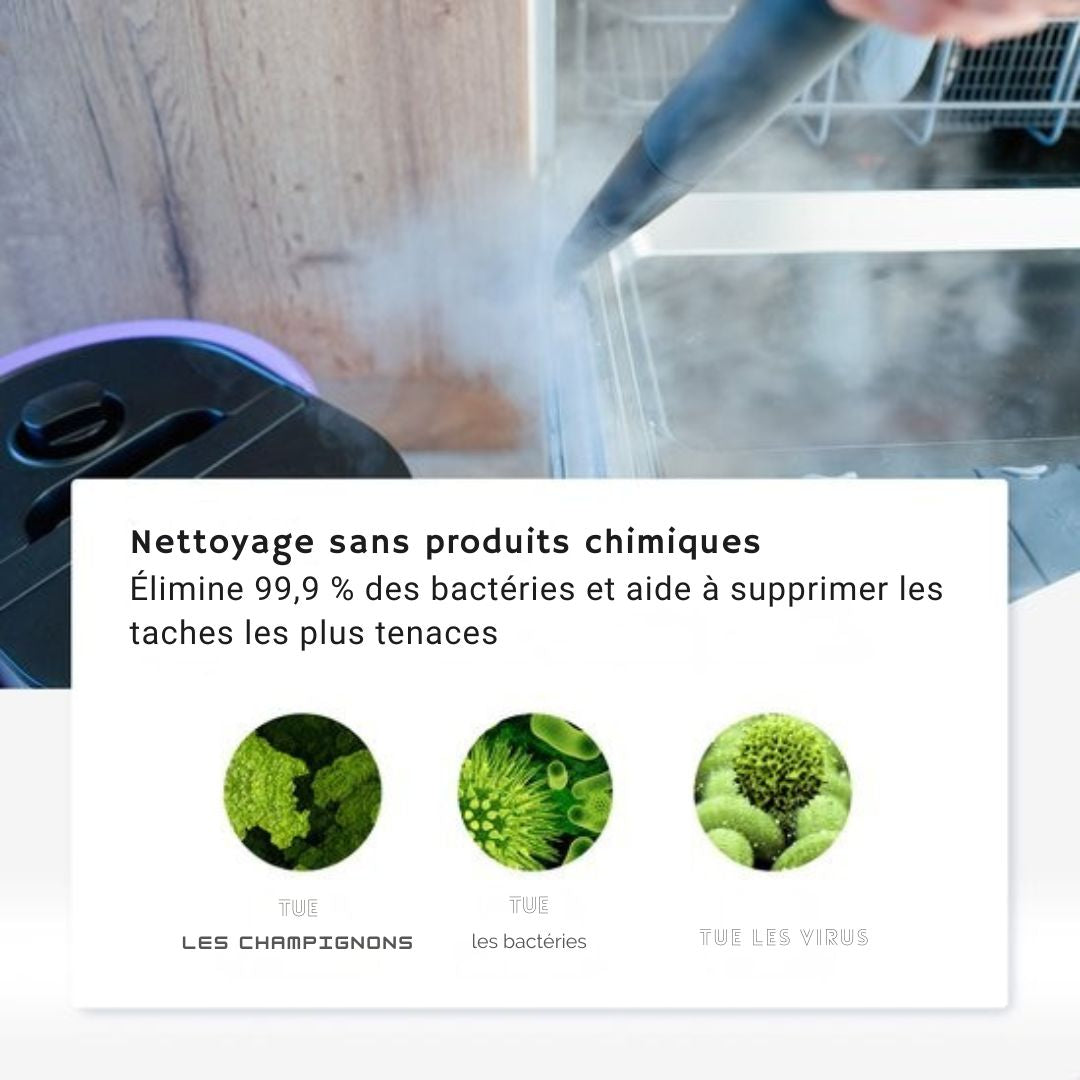 Nettoyeur de tapis et de taches Motionflow - 1500W 1.5L réservoir d'eau - vapeur à main - nettoyage en profondeur des sols, canapés, salles de bain et tapis - violet