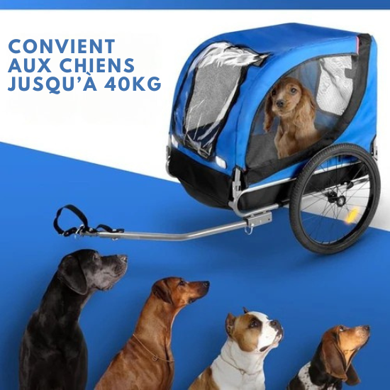 Remorque vélo pour chien - Bicycle Gear - max 40 KG - pliable et housse de pluie- Bleu