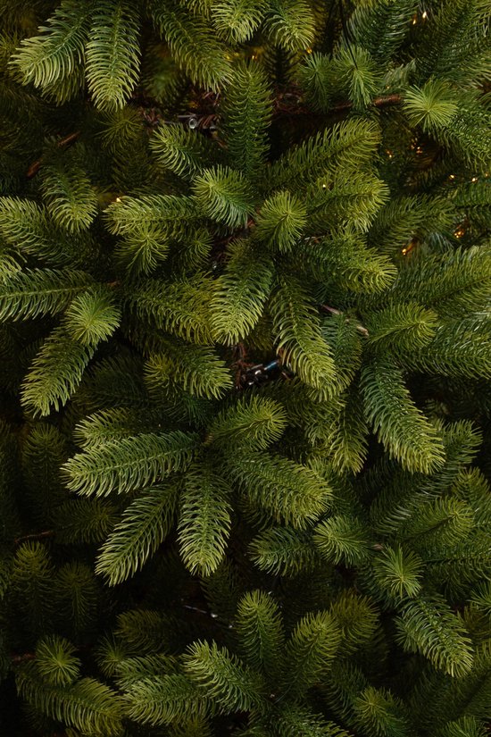 Black Box Trees Nagoya Artificial Christmas Tree - H240 x Ø138 cm - Vert
