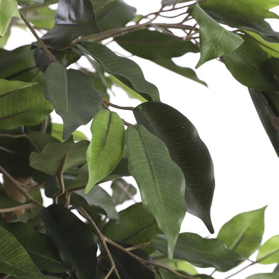 Mica Decorations Plante Artificielle Ficus - H110 x Ø65 cm - Vert