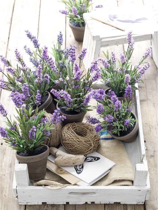 Mica Decorations Plante artificielle Lavendula/lavande - vert/violet - D22 x H33 cm - pot gris - plante d'intérieur - fleurs artificielles