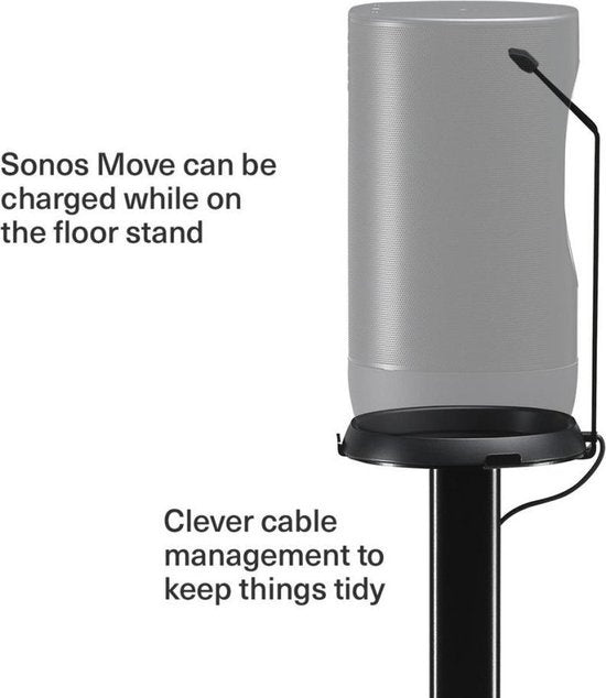 Sonos Move standaard