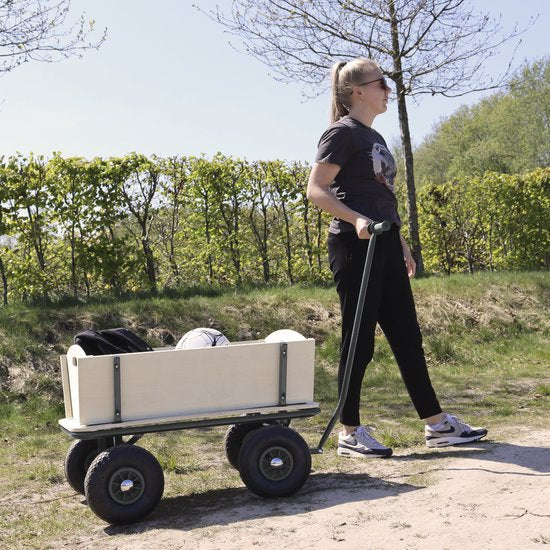 Sunny Billy Beach Wagon Charrette de plage Anthracite - Bois brut - Chariot avec pneus gonflables - 94x61x97cm