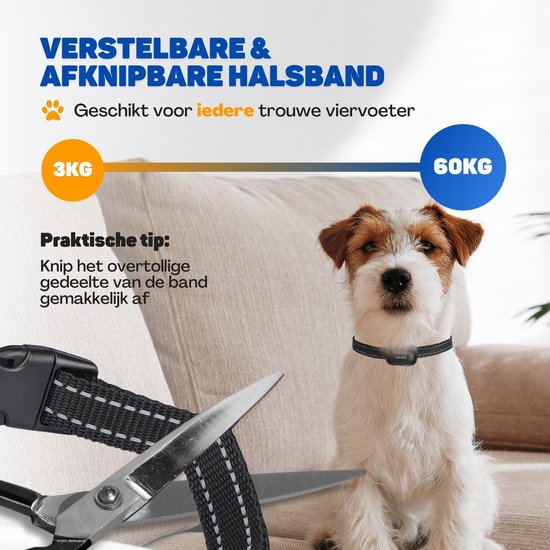 Vulpes Goods® Pets - Collier anti-aboiement Max avec télécommande - Collier d'éducation 3-en-1 sans choc - Anti-aboiement pour petits et grands chiens - manuel & automatique - Rechargeable - Vibration, Audio & Ultrasons