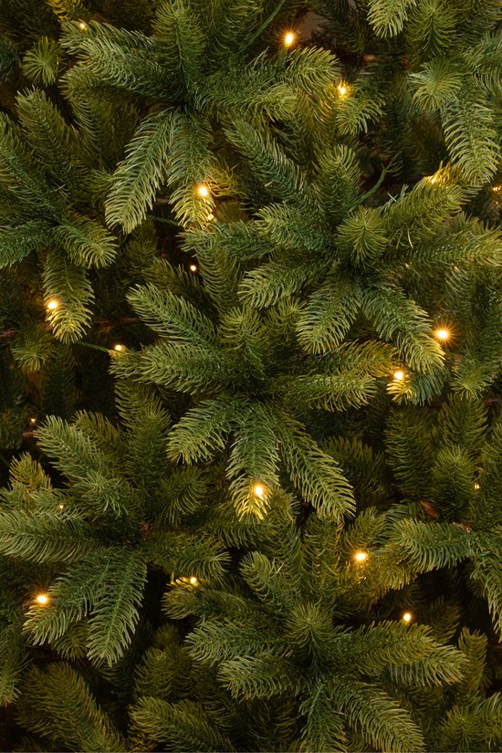 Black Box Trees Nagoya Artificial Christmas Tree with Warm White LED Lights - H240 x Ø138 cm - Vert
