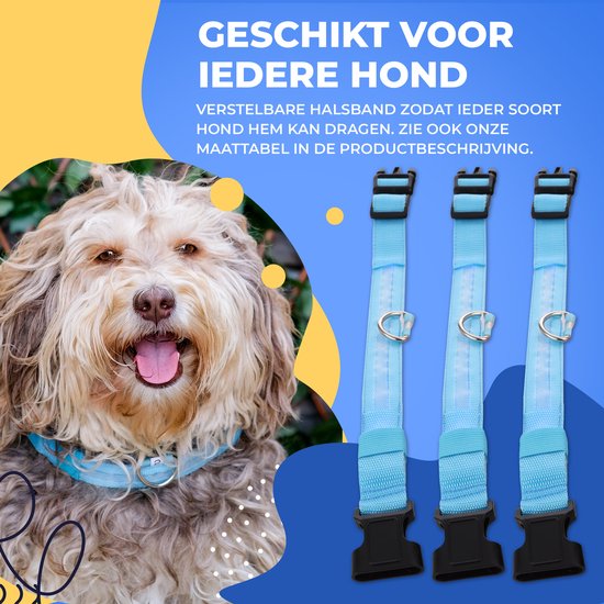 Collier lumineux pour chien - Extra fort - XS 28 cm à 38 cm - Collier pour chien - Collier à mousqueton - Ajustable - Réfléchissant