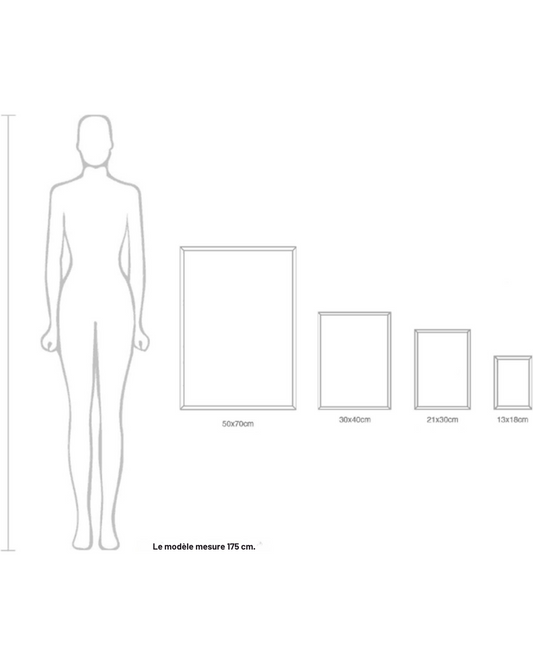 Affiches d'annimaux pour la chambre d'enfant - Generic - 6 Affiches - 21x30 cm - Papier robuste - Safari