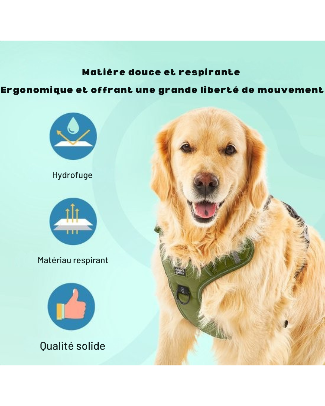 Harnais pour chien Jake et Jacky - Harnais anti-traction - Réfléchissant - Taille XL - Vert