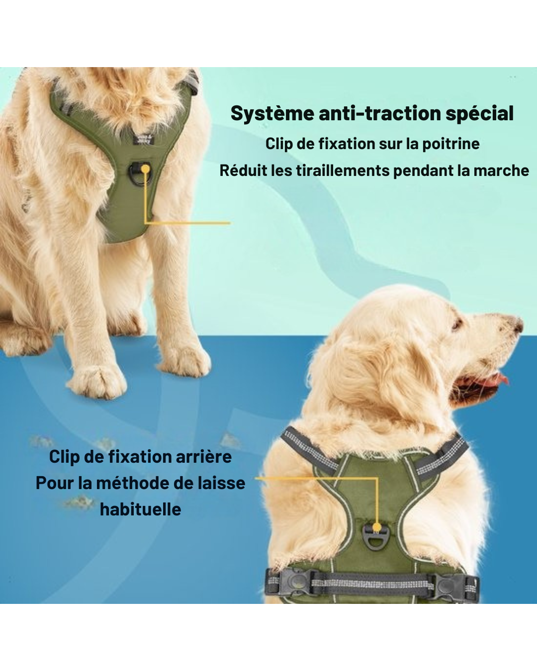 Harnais pour chien Jake et Jacky - Harnais anti-traction - Réfléchissant - Taille XL - Vert
