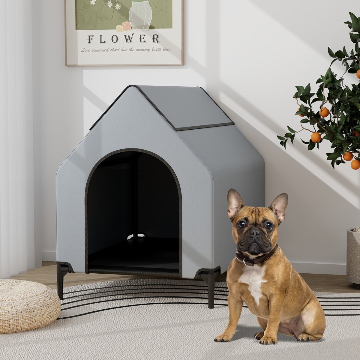 Niche pour chien surélevée Coast 91 cm pour petites races, gris, 64 x 91 x 86 cm