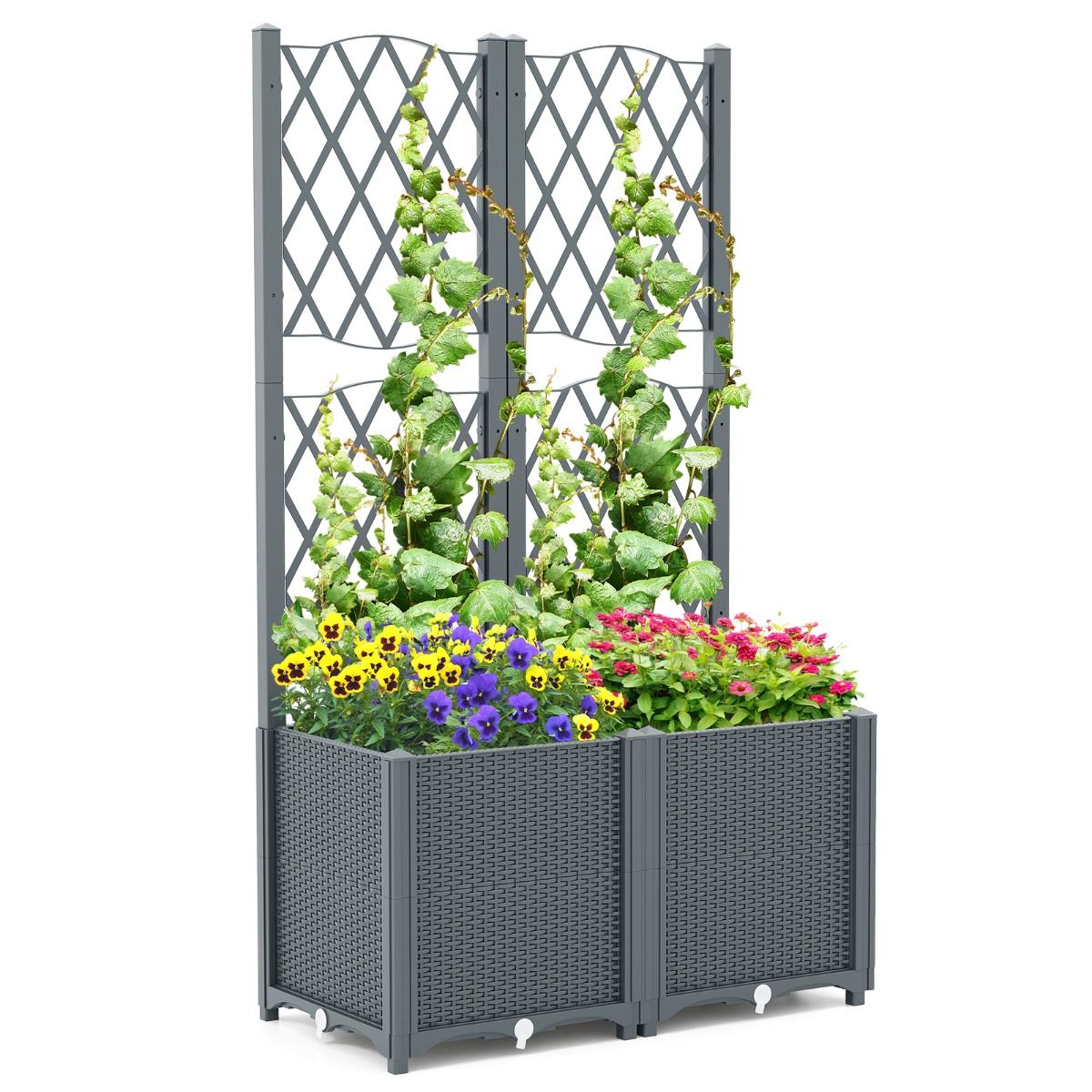 Coast Bac de jardin surélevé avec clôture 80 x 40 x 140 cm - gris, comprend un système d'arrosage automatique pour une croissance optimale des plantes grimpantes