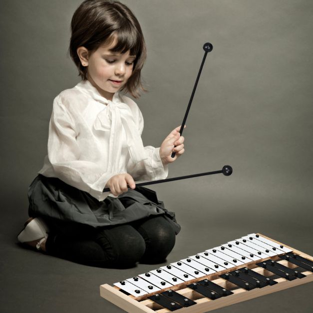 Coast Xylophone 27 Notes - Carillons avec sac de transport et 2 marteaux - 43.5 x 24 x 4 cm - Noir/Blanc